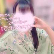 ヒメ日記 2025/12/31 13:16 投稿 しおり いざ候 本館