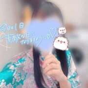 ヒメ日記 2026/01/06 15:17 投稿 しおり いざ候 本館