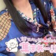 ヒメ日記 2026/01/09 15:27 投稿 しおり いざ候 本館