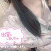 ヒメ日記 2026/02/12 15:07 投稿 しおり いざ候 本館