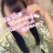 ヒメ日記 2026/04/16 15:19 投稿 しおり いざ候 本館