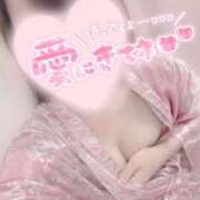 ヒメ日記 2026/06/06 14:47 投稿 しおり いざ候 本館