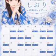 ヒメ日記 2026/08/30 17:07 投稿 しおり いざ候 本館