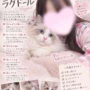 ヒメ日記 2026/09/17 16:07 投稿 しおり いざ候 本館