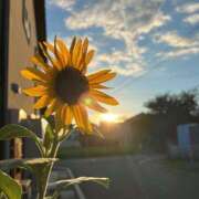 ヒメ日記 2025/07/11 10:43 投稿 みき おいらん遊郭