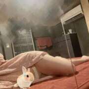 ヒメ日記 2025/07/14 08:19 投稿 みき おいらん遊郭