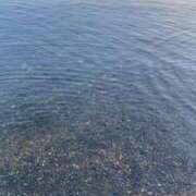 ヒメ日記 2025/08/15 18:27 投稿 みき おいらん遊郭