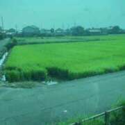 ヒメ日記 2025/09/17 09:05 投稿 みき おいらん遊郭