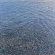 ヒメ日記 2025/09/19 09:30 投稿 みき おいらん遊郭