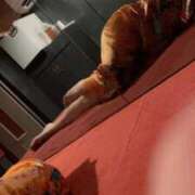 ヒメ日記 2025/10/07 12:05 投稿 みき おいらん遊郭