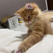 ヒメ日記 2025/07/18 12:02 投稿 早坂　ひめ クラブ　ブレンダ茨木・枚方店