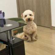 ヒメ日記 2025/10/03 09:50 投稿 じゅり 変態どっとこむ～即尺痴女伝説～（木更津）