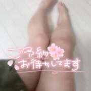 ヒメ日記 2025/06/27 20:29 投稿 らむ 熊本ちゃんこ　八代店