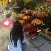 ヒメ日記 2025/06/22 03:18 投稿 瑠衣【るい】 輝女