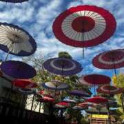 ヒメ日記 2025/06/24 19:34 投稿 瑠衣【るい】 輝女