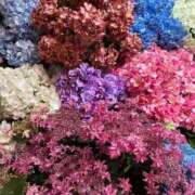 ヒメ日記 2025/06/28 00:02 投稿 瑠衣【るい】 輝女