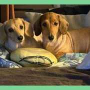 ヒメ日記 2025/07/29 16:29 投稿 瑠衣【るい】 輝女