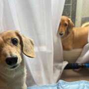 ヒメ日記 2025/08/10 11:56 投稿 瑠衣【るい】 輝女