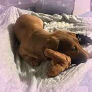 ヒメ日記 2025/08/15 22:58 投稿 瑠衣【るい】 輝女