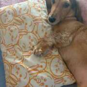 ヒメ日記 2025/08/31 15:22 投稿 瑠衣【るい】 輝女