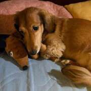 ヒメ日記 2025/10/07 21:13 投稿 瑠衣【るい】 輝女