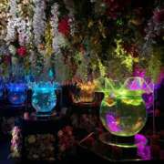 ヒメ日記 2025/10/15 17:48 投稿 瑠衣【るい】 輝女