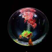 ヒメ日記 2025/10/21 15:55 投稿 瑠衣【るい】 輝女