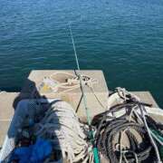 ヒメ日記 2025/11/03 09:51 投稿 瑠衣【るい】 輝女