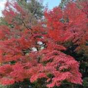 ヒメ日記 2025/11/15 20:25 投稿 瑠衣【るい】 輝女