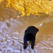 ヒメ日記 2026/02/16 02:32 投稿 瑠衣【るい】 輝女