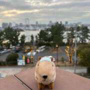 ヒメ日記 2026/03/10 19:10 投稿 瑠衣【るい】 輝女