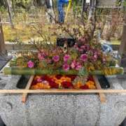 ヒメ日記 2026/03/23 21:29 投稿 瑠衣【るい】 輝女