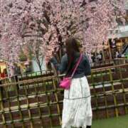 ヒメ日記 2026/04/11 15:50 投稿 瑠衣【るい】 輝女