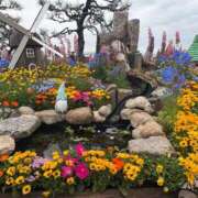 ヒメ日記 2026/04/15 15:52 投稿 瑠衣【るい】 輝女