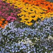 瑠衣【るい】 疲れすぎてるー！！！！ 輝女