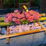 ヒメ日記 2026/06/30 14:31 投稿 瑠衣【るい】 輝女