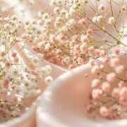 ヒメ日記 2025/08/25 03:45 投稿 かすみ DIVA-ディーバ-【DIVAグループ】