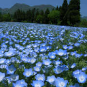 ヒメ日記 2025/10/31 18:29 投稿 はく One More 奥様　松戸店