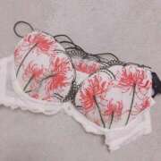 ヒメ日記 2025/11/07 20:49 投稿 はく One More 奥様　松戸店