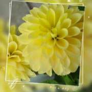 ヒメ日記 2026/04/25 00:54 投稿 はく One More 奥様　松戸店