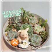 ヒメ日記 2026/04/29 10:34 投稿 はく One More 奥様　松戸店