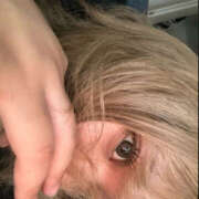 ふわり 退勤！ ちゃんこ東大阪 布施・長田店