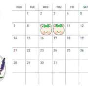 ヒメ日記 2025/06/28 12:21 投稿 平手翠 皇帝別館（こうていべっかん）