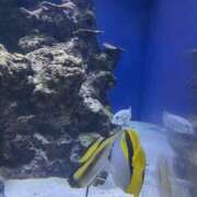 ヒメ日記 2025/10/02 19:54 投稿 れい スピード梅田店