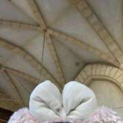 ヒメ日記 2025/11/02 19:04 投稿 れい スピード梅田店