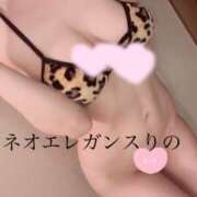 ヒメ日記 2025/06/24 07:45 投稿 松井 りの Neo Elegance（ネオエレガンス）