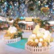 ヒメ日記 2025/07/23 12:09 投稿 わか クラブバカラ