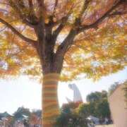 ヒメ日記 2025/12/06 18:29 投稿 わか クラブバカラ