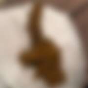 ヒメ日記 2025/06/26 16:44 投稿 るあん 排泄マニア