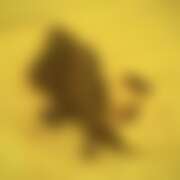 ヒメ日記 2025/07/01 08:00 投稿 るあん 排泄マニア